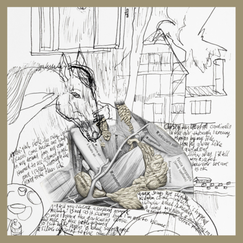 cover_however 1
